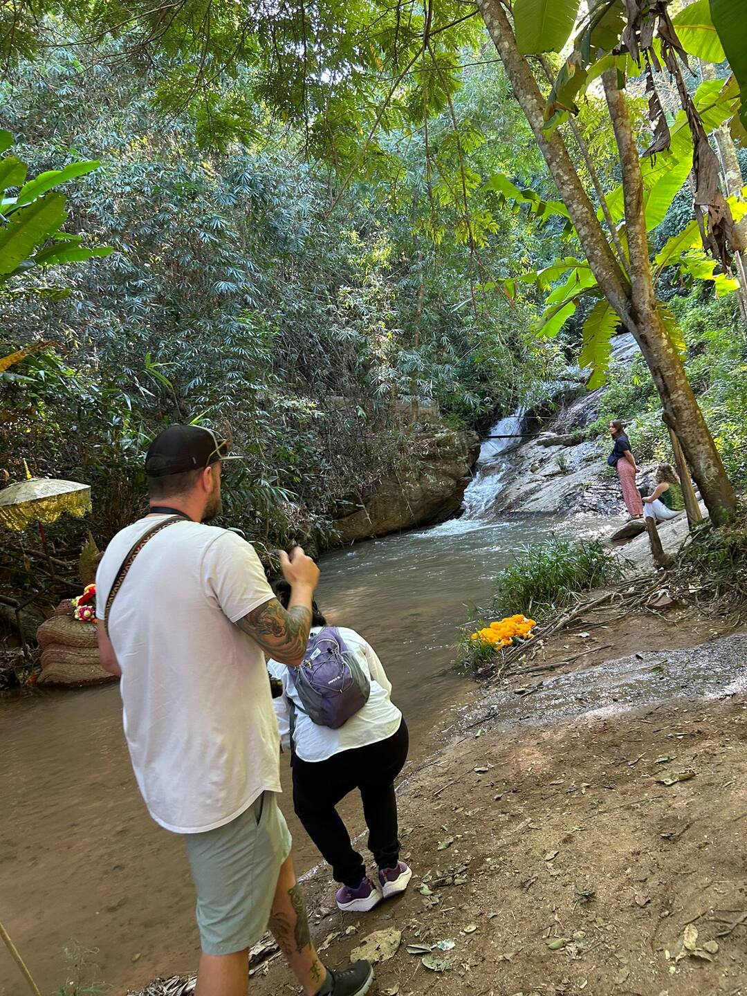 A forest stream in the mountains of Northern Thailand